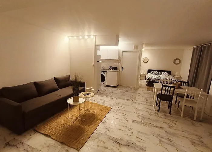 Grand Et Beau Studio De 63 M